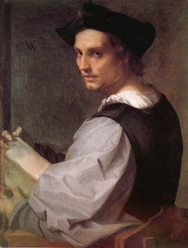 Andrea del Sarto Portrait of man oil painting image